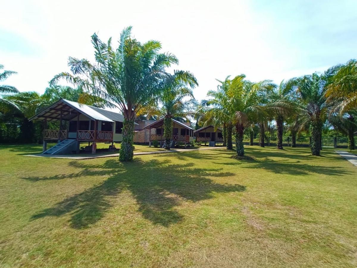 Mb Camp Singkil Hotel Gosongtelaga Ngoại thất bức ảnh